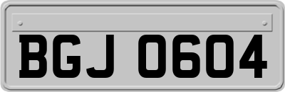 BGJ0604