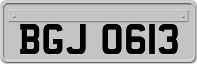 BGJ0613