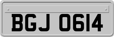 BGJ0614