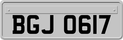 BGJ0617