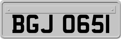 BGJ0651
