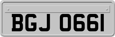 BGJ0661