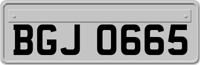 BGJ0665