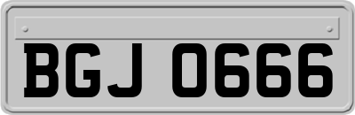 BGJ0666