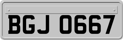 BGJ0667