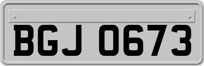 BGJ0673