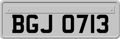 BGJ0713