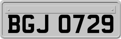 BGJ0729
