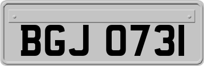 BGJ0731