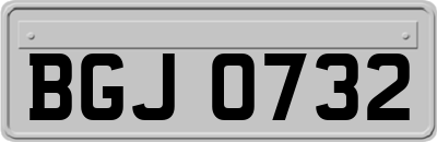 BGJ0732