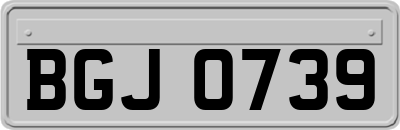 BGJ0739
