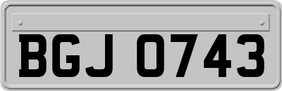 BGJ0743