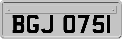 BGJ0751