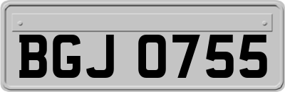BGJ0755