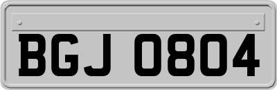 BGJ0804