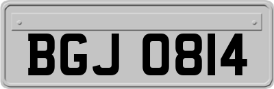 BGJ0814