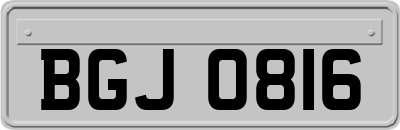 BGJ0816