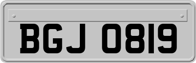 BGJ0819