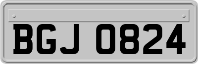 BGJ0824