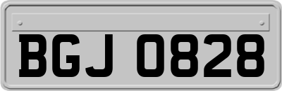 BGJ0828