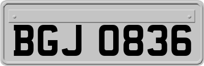 BGJ0836