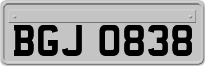 BGJ0838