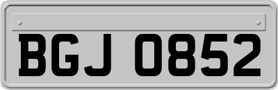 BGJ0852