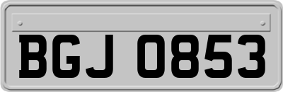 BGJ0853