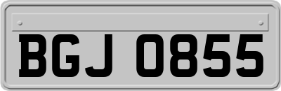 BGJ0855