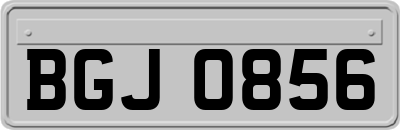 BGJ0856