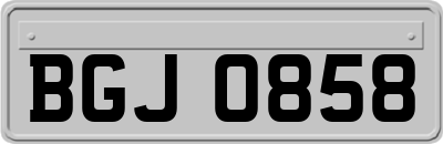 BGJ0858