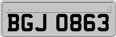 BGJ0863