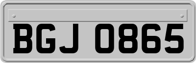 BGJ0865