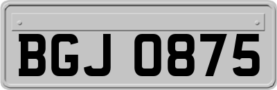 BGJ0875