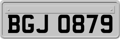 BGJ0879