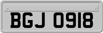 BGJ0918