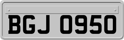 BGJ0950
