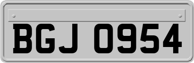 BGJ0954