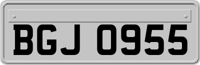 BGJ0955