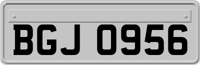 BGJ0956