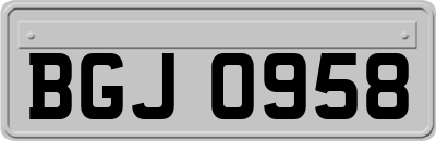 BGJ0958