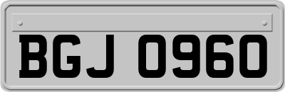 BGJ0960