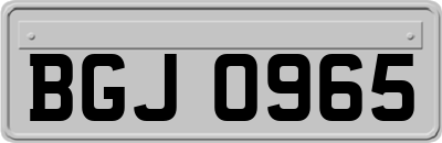 BGJ0965