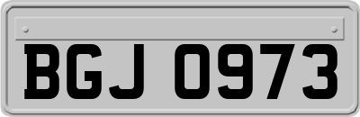 BGJ0973