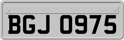 BGJ0975
