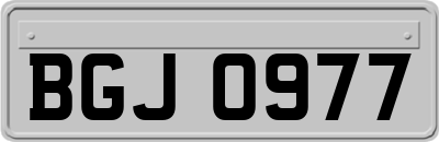 BGJ0977