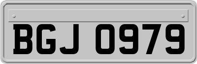 BGJ0979
