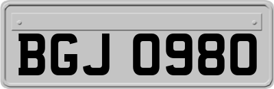 BGJ0980