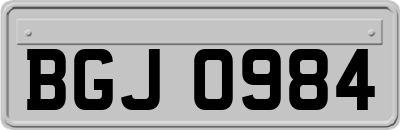 BGJ0984