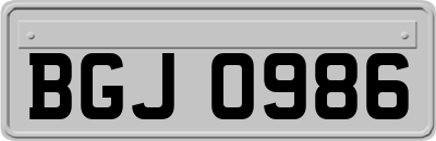 BGJ0986